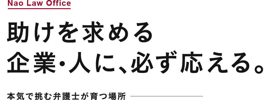 Nao Law Office 助けを求める企業・人に、必ず応える。 本気で挑む弁護士が育つ場所